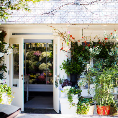 印刷・販促物のヒント／お役立ち情報