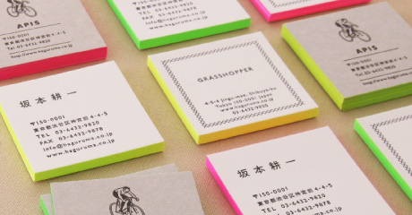 お得な限定商品