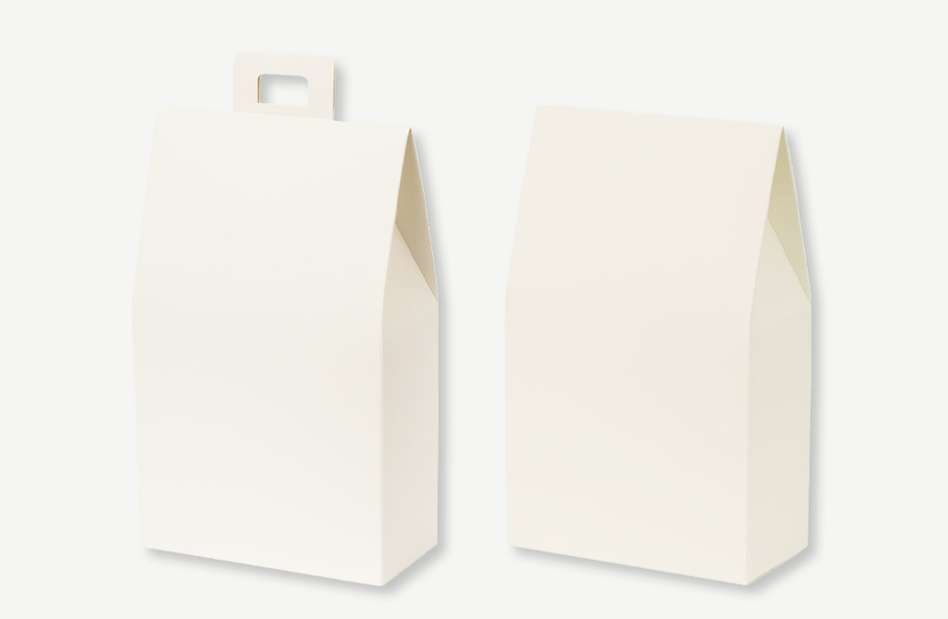 ロック式箱(曲面フック穴有・曲面)