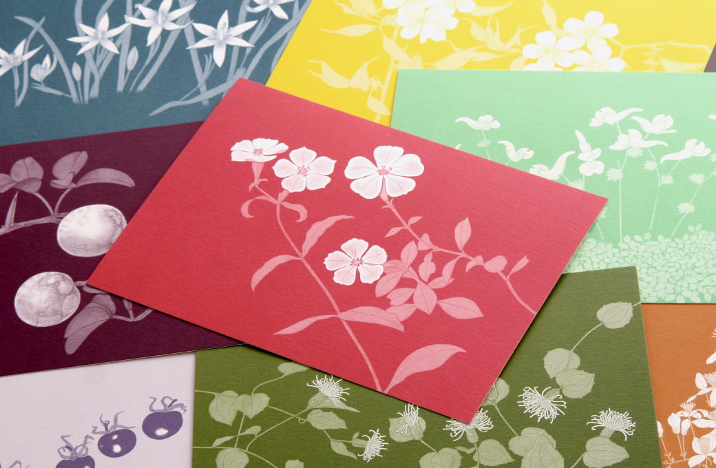 No.631 カード・封筒セット