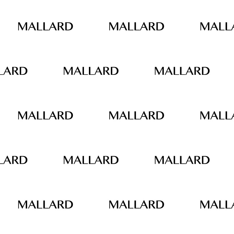 テンプレート番号：T242