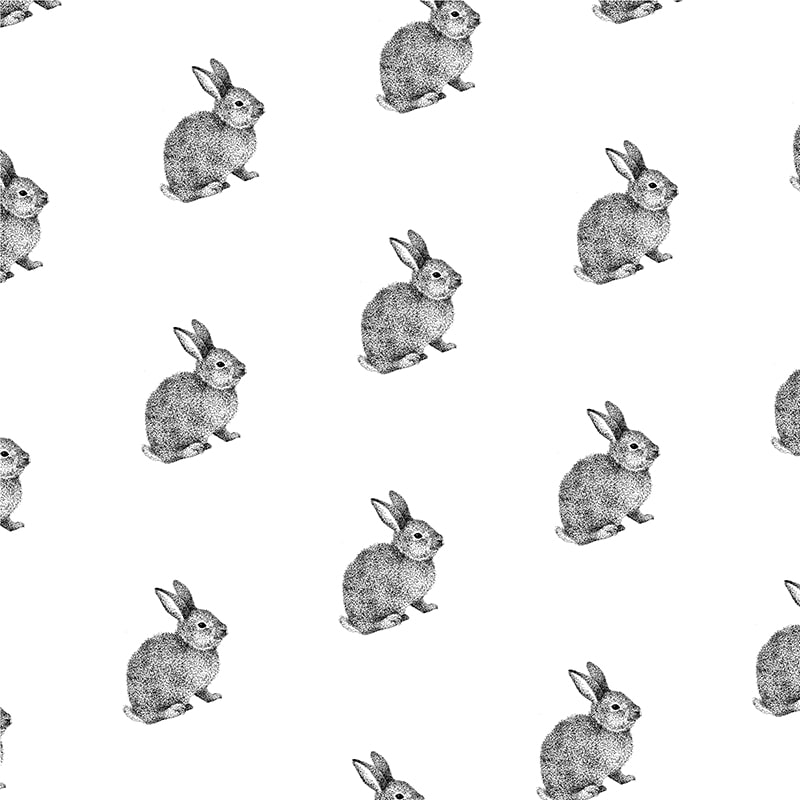 テンプレート番号：T244