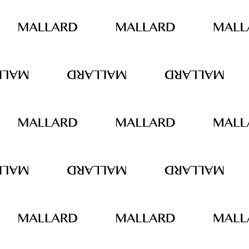 テンプレート番号：T446